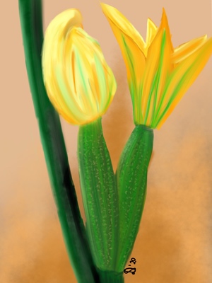 Routeplanner - Een wandeling vanaf vakantieadres