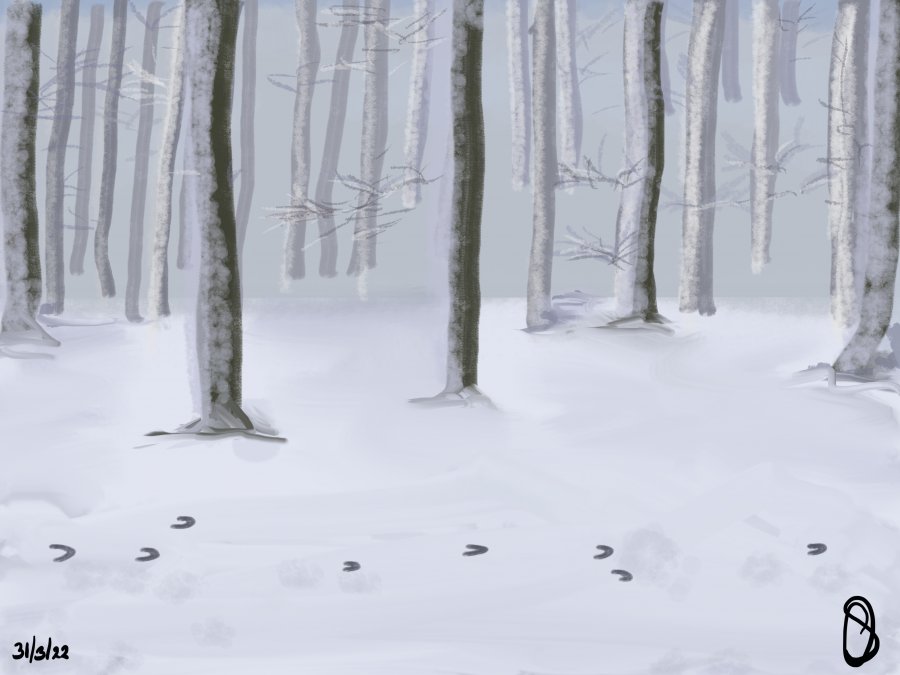 Winterwandelen en kamperen