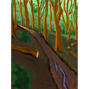 Wandelen rond Hanzestad Nijmegen