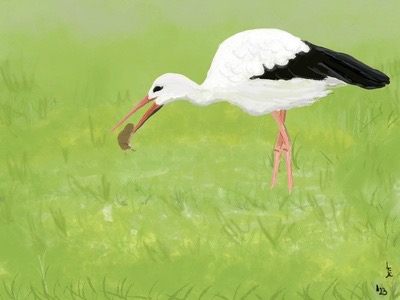 Wandelen rond Hanzestad Hasselt