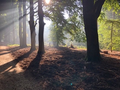 Onverhard wandelen over Veluwezoom